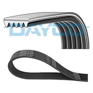 DAY5PK1650 Multi V belt (5PK1650) fits: HYUNDAI I10 I, I20 I, I30, IX20, IX3