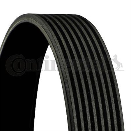 8PK1755 V-Ribbed Belt CONTINENTAL CTAM