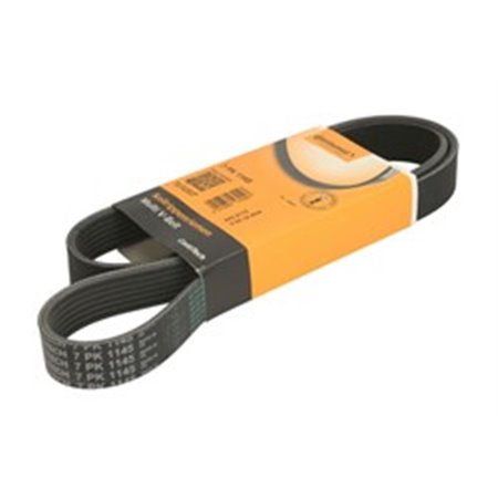 7PK1145 V-Ribbed Belt CONTINENTAL CTAM