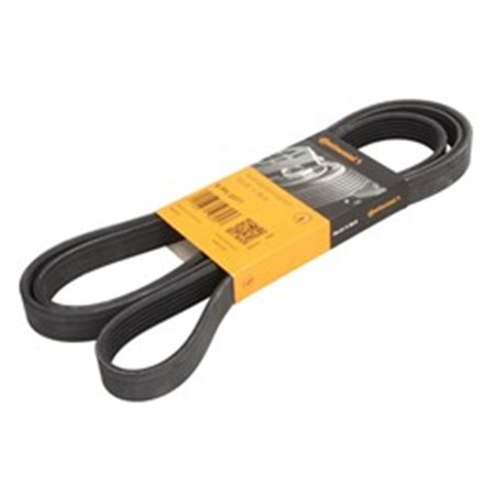 6PK2077 V-Ribbed Belt CONTINENTAL CTAM