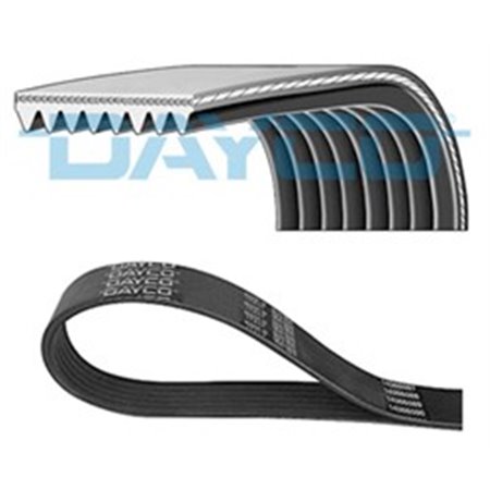 8PK1894HD V-Ribbed Belt DAYCO