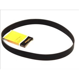 10 PK 1688 Multi V belt (10PK1688) fits: MAN LION´S CITY, LION´S COACH, LION