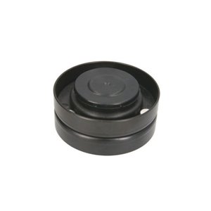 B05-AG-078 Tensioner Pulley, V-belt BTA - Top1autovaruosad