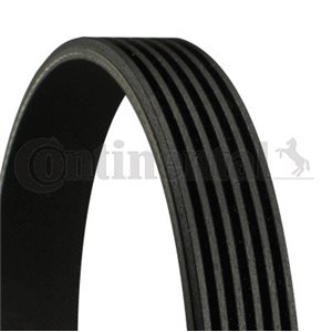 6PK2094 V-Ribbed Belt CONTINENTAL CTAM - Top1autovaruosad