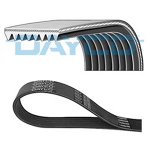 8PK1565HD V-Ribbat Bälte DAYCO