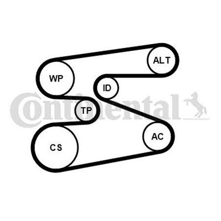 6PK1698K1 Soonrihmakomplekt CONTINENTAL CTAM