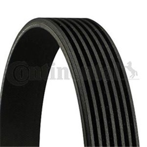 7 PK 1165 Multi V belt (7PK1165) fits: NISSAN MICRA IV, NOTE 1.2 05.10 