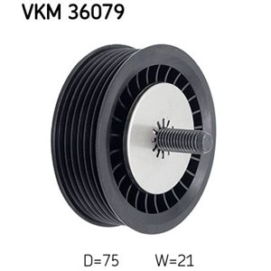 VKM 36079...