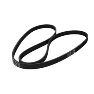 5 PK 1640 Multi V belt (5PK1640) fits: HYUNDAI ACCENT III, GETZ, I30; KIA C