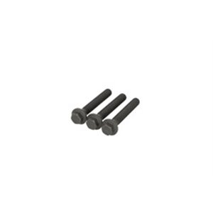 CO80004867 Crankshaft fixing bolts set/kit fits: FORD MONDEO III, TRANSIT; J