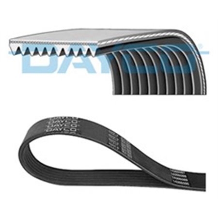 10PK1630HD V-Ribbed Belt DAYCO