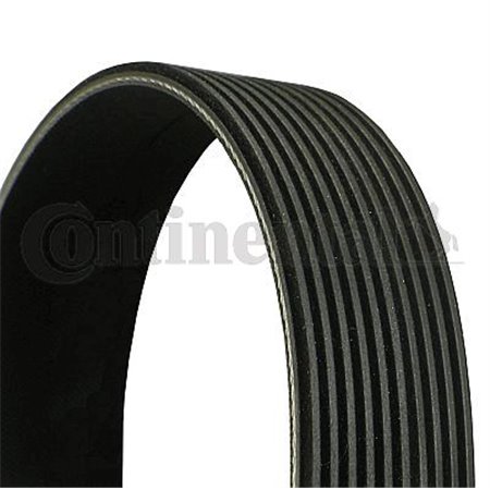 10PK2285 V-Ribbed Belt CONTINENTAL CTAM