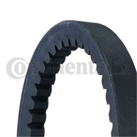 AVX17X1055 V-Belt CONTINENTAL CTAM