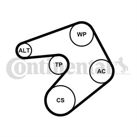 6PK1244K1 Soonrihmakomplekt CONTINENTAL CTAM