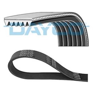 DAY6PK1683 Multi V belt (6PK1683) fits: VOLVO 850, S70, S80 I, V70 I; FORD F