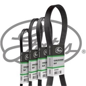 GATCB0071 Multi V belt (PK638)