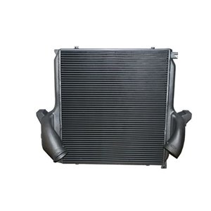DAME001TT Charge Air Cooler THERMOTEC - Top1autovaruosad