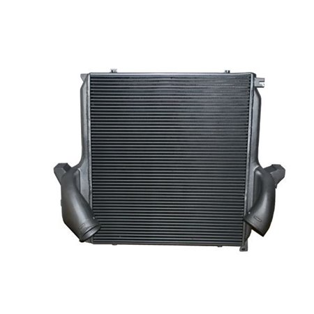 THERMOTEC DAME001TT - Intercooler fits: MERCEDES ACTROS, ACTROS MP2 / MP3, AXOR 2 OM541.920-OM906.927 04.96-