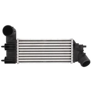 DAC005TT Charge Air Cooler THERMOTEC - Top1autovaruosad