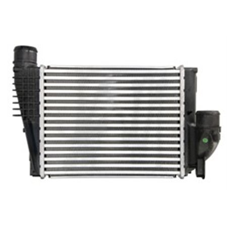 309077 Charge Air Cooler NRF