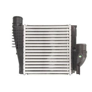 DAP004TT Charge Air Cooler THERMOTEC - Top1autovaruosad