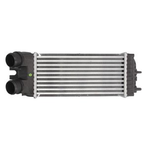 DAC002TT Charge Air Cooler THERMOTEC - Top1autovaruosad