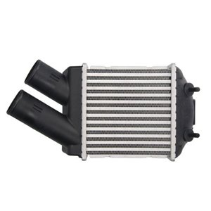 DAR001TT Charge Air Cooler THERMOTEC - Top1autovaruosad