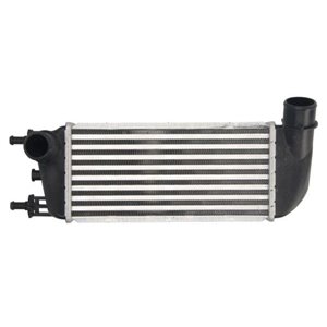 DAF010TT Charge Air Cooler THERMOTEC - Top1autovaruosad
