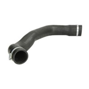 3336055 Charge Air Hose SASIC - Top1autovaruosad