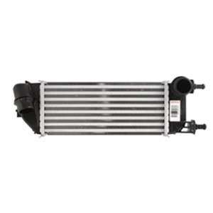DIT09124 Charge Air Cooler DENSO - Top1autovaruosad
