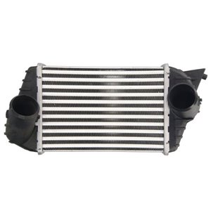 DAF009TT Charge Air Cooler THERMOTEC - Top1autovaruosad