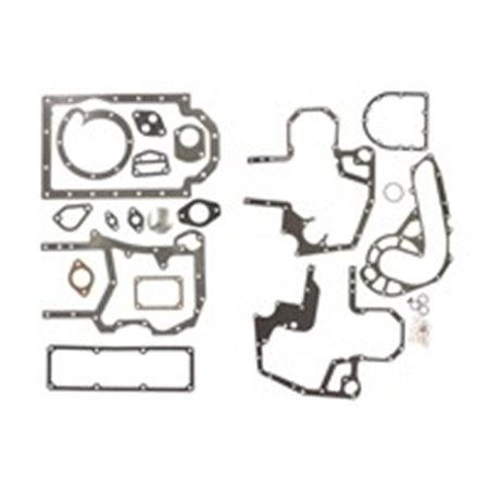 ENT000169 Complete engine gasket set   crankcase fits: CASE IH 200, 2000, 3