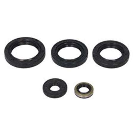 W822213 Engine gaskets set