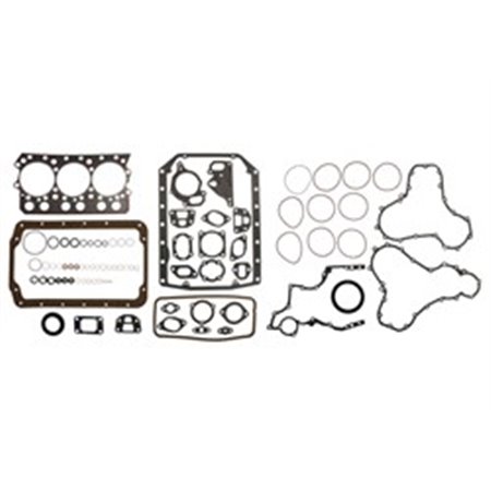 ENT000115 Komplett set med motorpackningar passar: MASSEY FERGUSON SISU 311DS