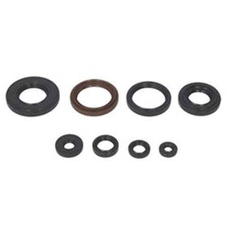 W822233 Engine gaskets set