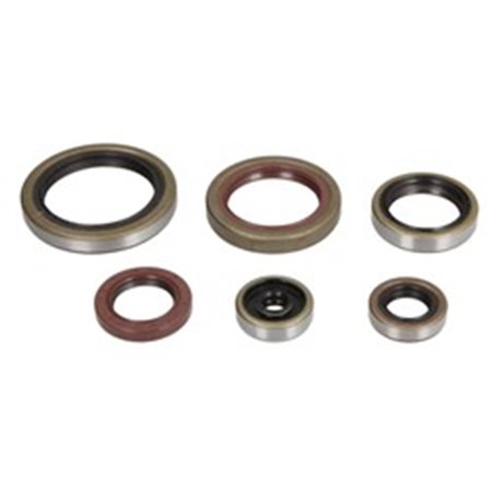 P400060400011 Crankshaft gaskets set (set per engine) fits: BETA RR 250/300 201