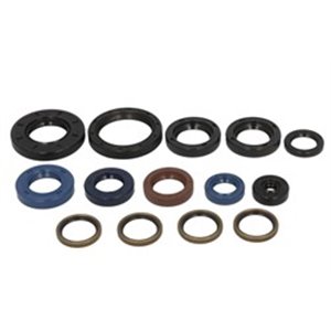 P400110400101 Other gaskets fits: DUCATI MONSTER, ST2 600 944 1993 1999
