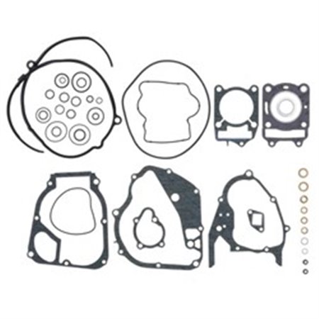 P400210850224 Engine gaskets   set