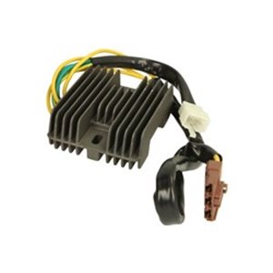 IP000396 Voltage regulator - Top1autovaruosad