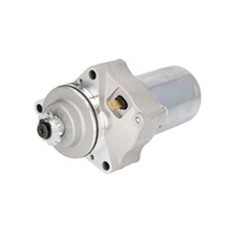 IP000261 Startmotor