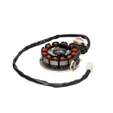 IP000641 (Alternator stator AM6 12 spolar) passar: APRILIA AF1, PEGASO, RED R