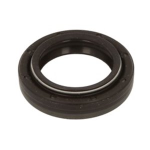 A2C5325205380 Shaft sealing ring (injection system Puma)