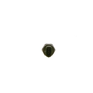 0 281 006 199 Sensor, fuel pressure BOSCH - Top1autovaruosad