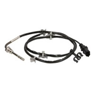 FE49300 Exhaust gas temperature sensor (after catalytic converter) fits: 