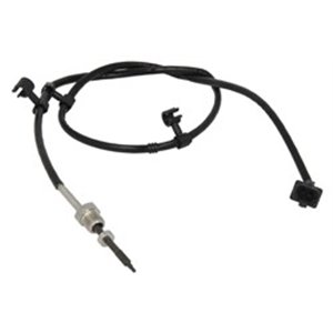 TS30232 Sensor, avgastemperatur DELPHI - Top1autovaruosad