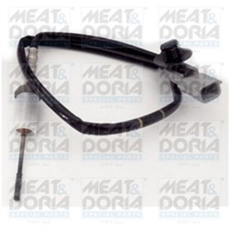 MD12070 Exhaust gas temperature sensor (before catalytic converter) fits: