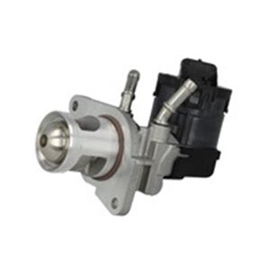 710327D EGR-venttiili BorgWarner (Wahler) - Top1autovaruosad