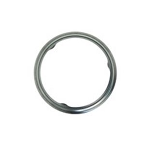 137.171 Gasket, exhaust pipe ELRING - Top1autovaruosad