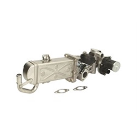 ENT500100 EGR-ventil (modul med kylare) passar: AUDI A3, Q3, TT SEAT ALHA