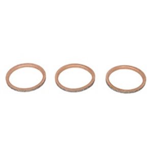 W823012 Exhaust system gasket/seal